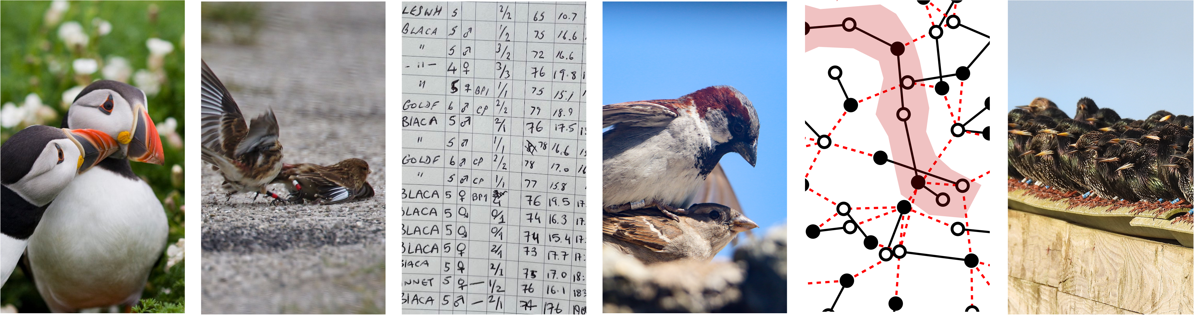 Social network visualization